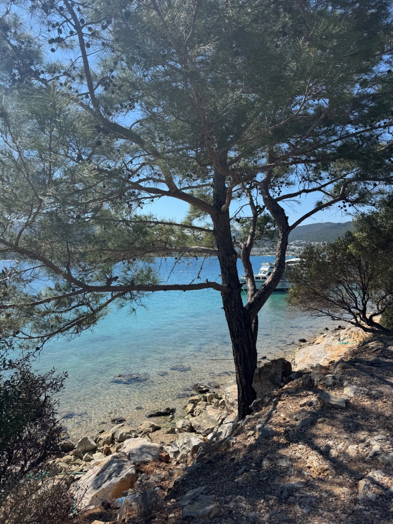 The Retreat